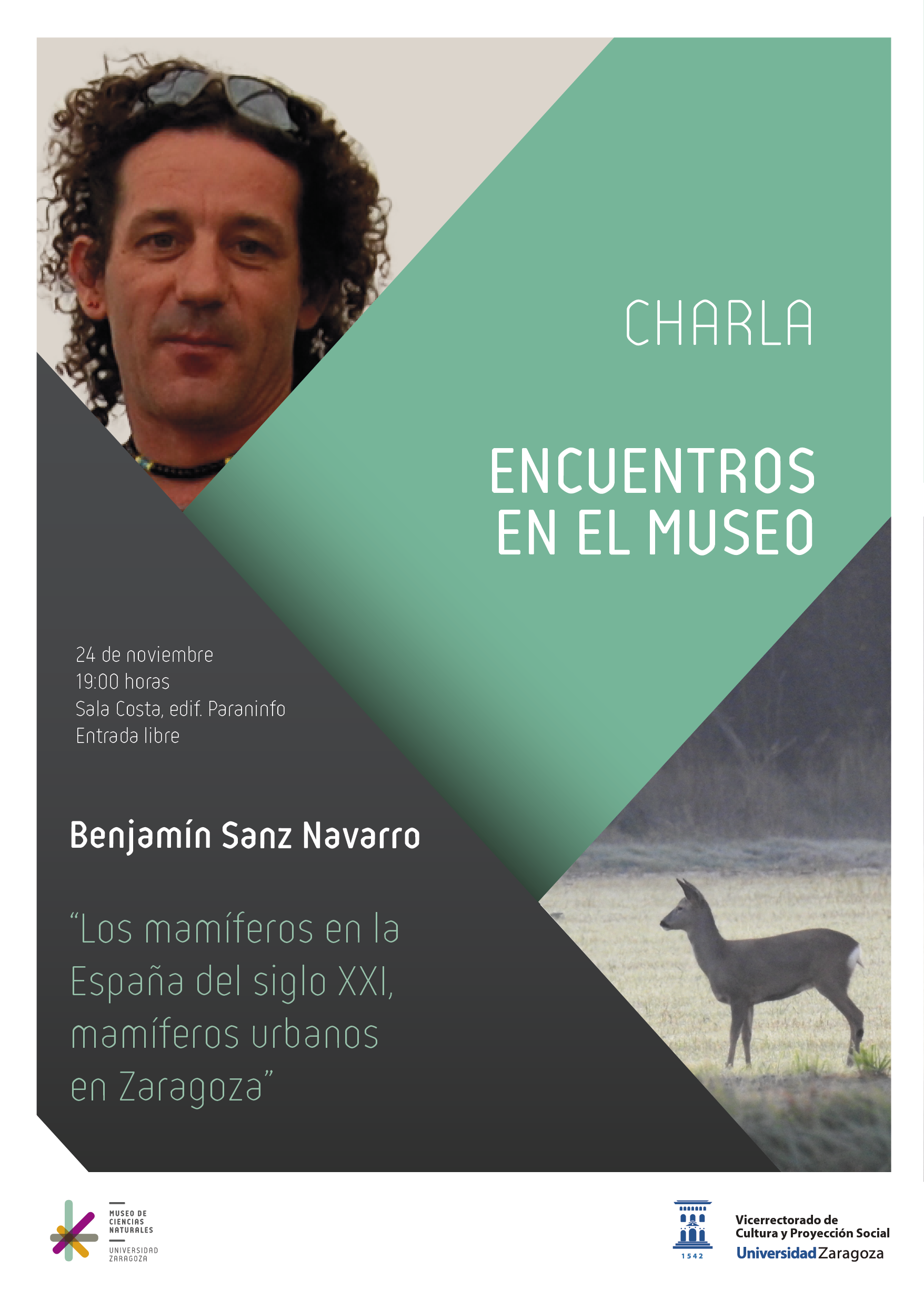 Los mamíferos en la España del siglo XXI, mamíferos urbanos en Zaragoza”, nueva actividad de Encuentros en el Museo