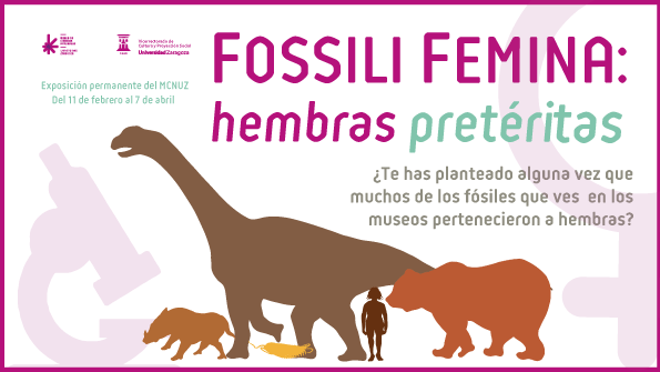 Fossili femina: hembras pretéritas. ¿Cómo sabemos si un fósil perteneció a un macho o una hembra?
