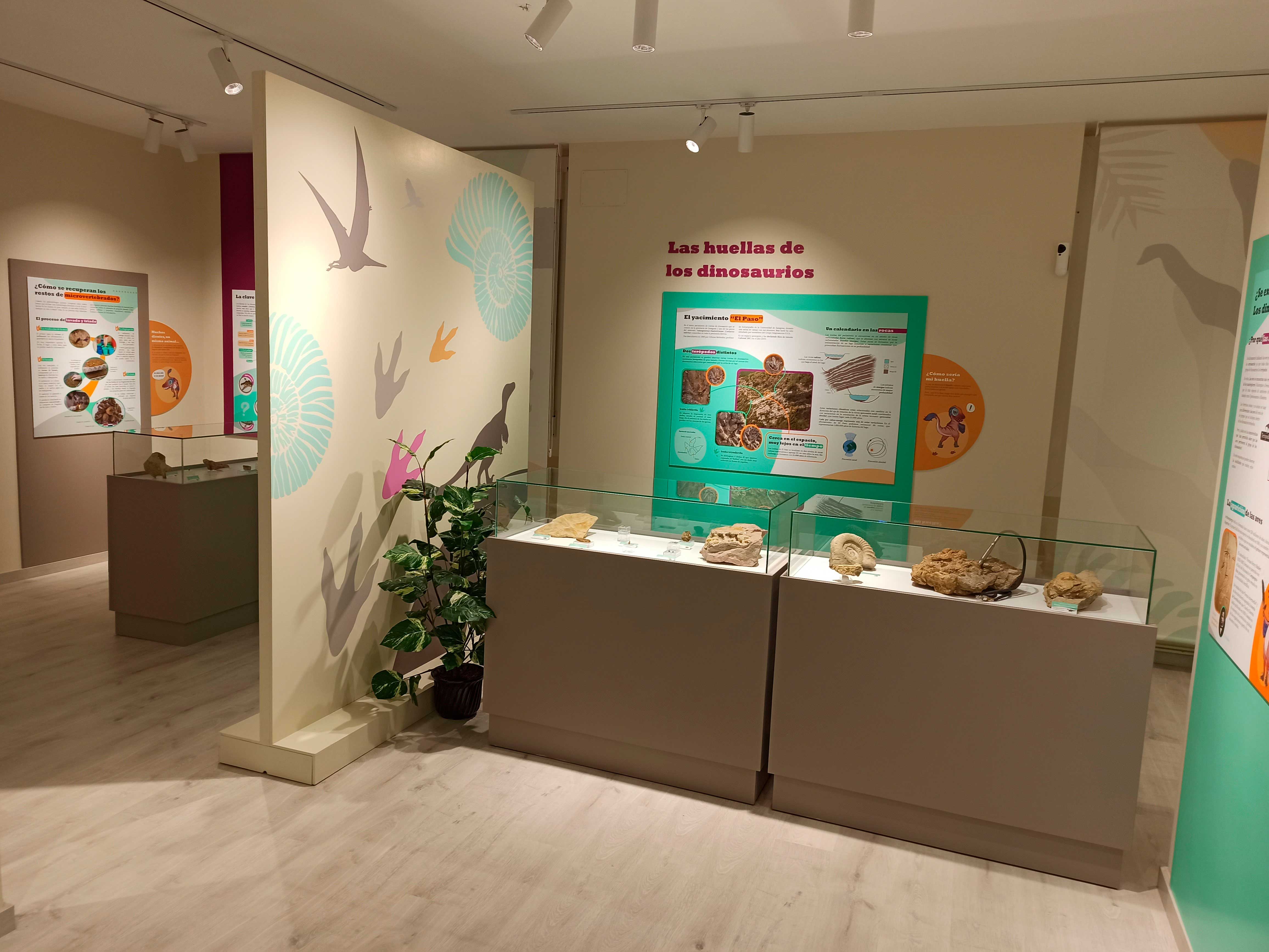 Un nuevo centro satélite del MCNUZ: el Centro de Interpretación “Dinosaurios de Zaragoza” en Villanueva de Huerva