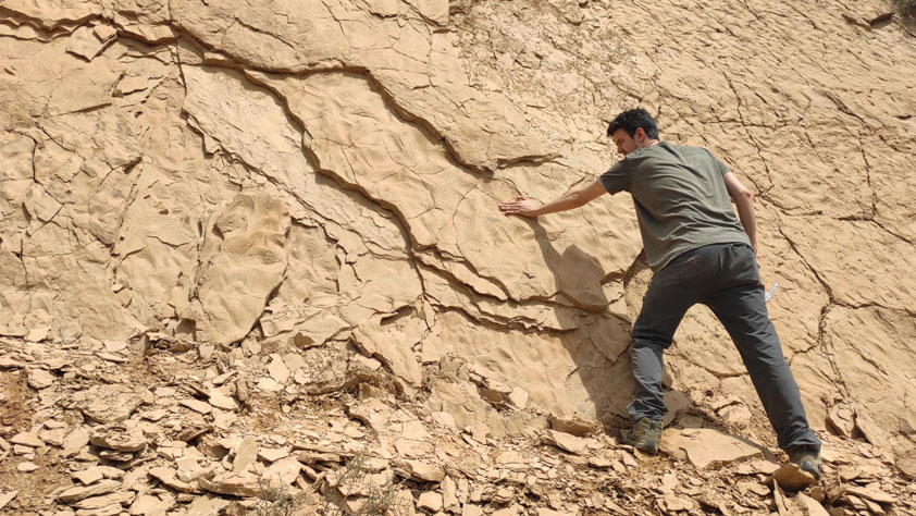 Descrito un excepcional yacimiento de pisadas fósiles de aves y mamíferos en la provincia de Huesca
