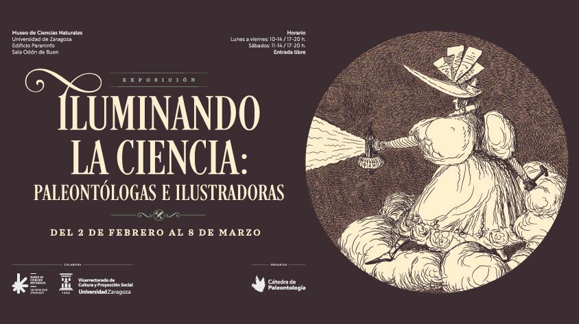 “Iluminando la Ciencia: paleontólogas e ilustradoras” la nueva exposición temporal del MCNUZ