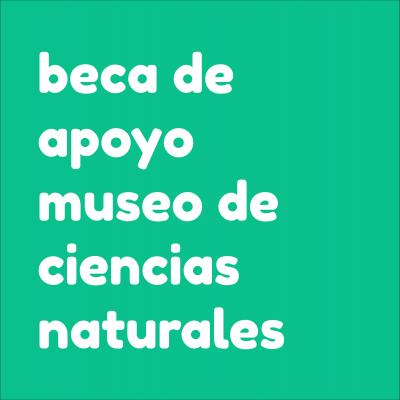 CONVOCATORIA DE 1 BECA DE APOYO PARA PATRIMONIO Y EXPOSICIONES TEMPORALES EN EL MUSEO DE CIENCIAS NATURALES