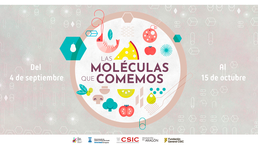 Exposición temporal “Las Moléculas que comemos” y juego de mesa “Bacterfield»