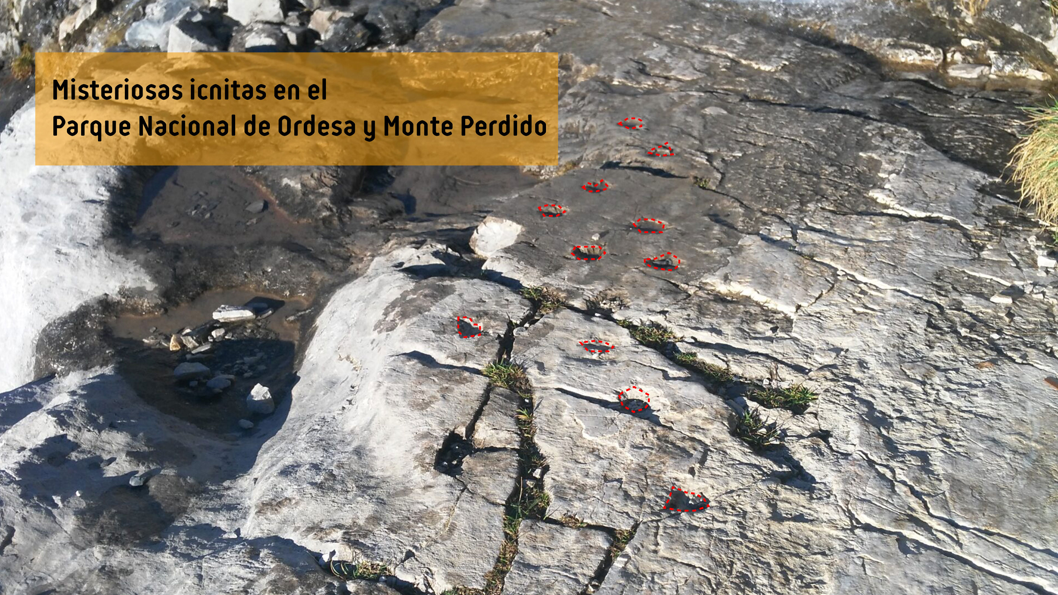 Misteriosas icnitas en el Parque Nacional de Ordesa y Monte Perdido